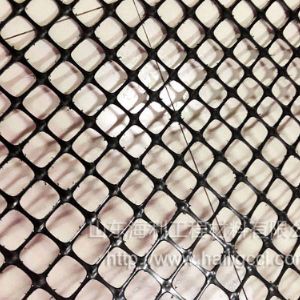 双向塑料土工格栅