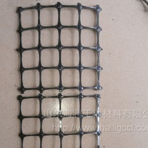 双向塑料土工格栅,选海利品牌